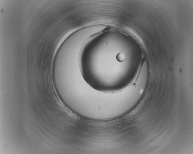 X0000071950948200607282005