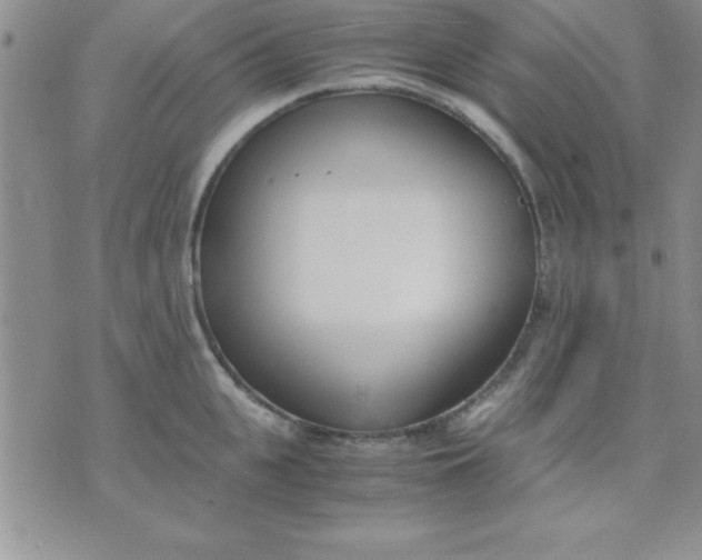 X0000071950951200607282005