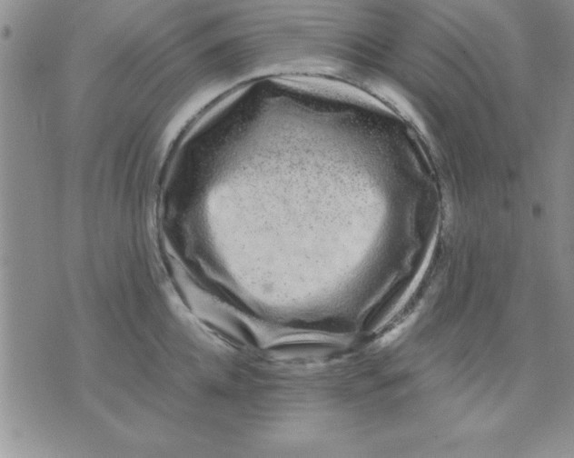 X0000071950952200607282005