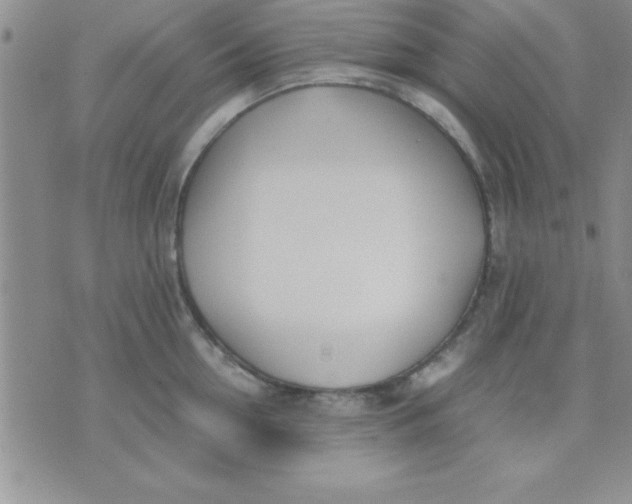 X0000071950954200607282005