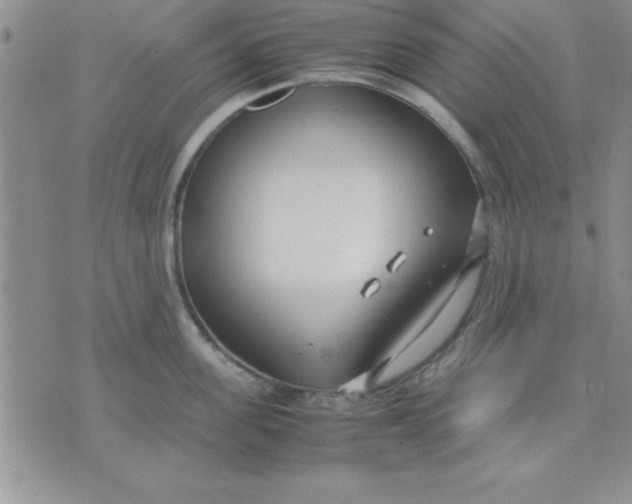 X0000071950955200607282005