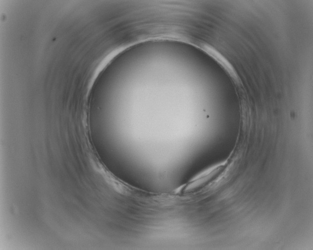 X0000071950956200607282005