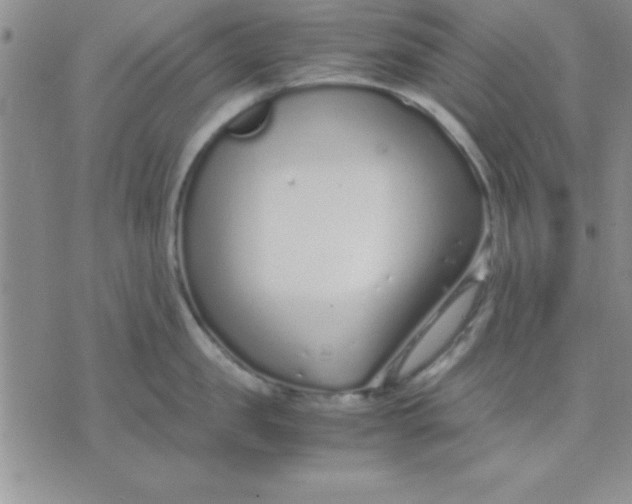 X0000071950957200607282005