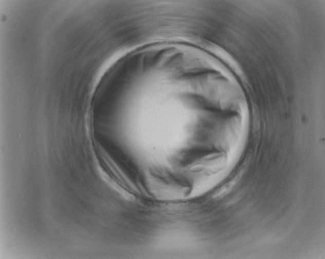 X0000071950958200607282005