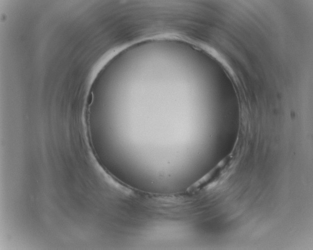 X0000071950959200607282005