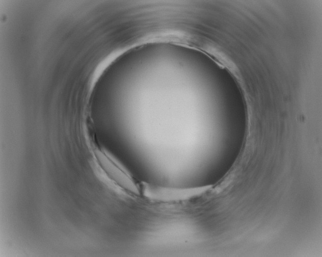 X0000071950960200607282005