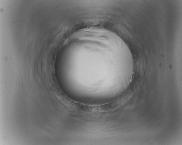 X0000071950961200607282004