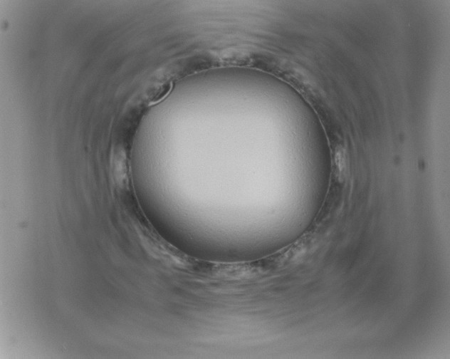 X0000071950963200607282004