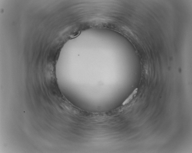 X0000071950964200607282004