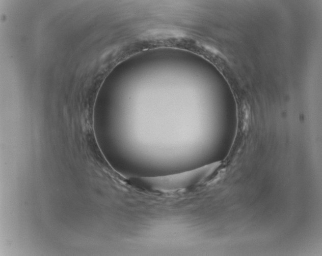 X0000071950965200607282004