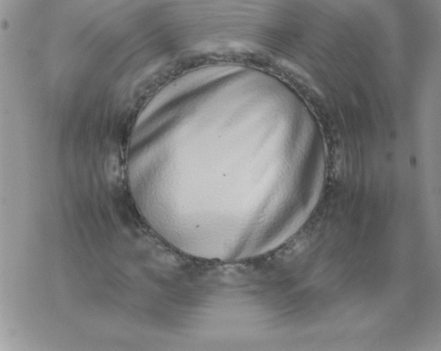 X0000071950966200607282004