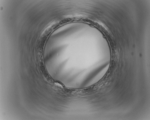 X0000071950967200607282004