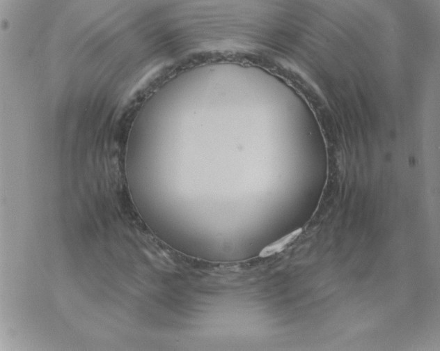 X0000071950968200607282004