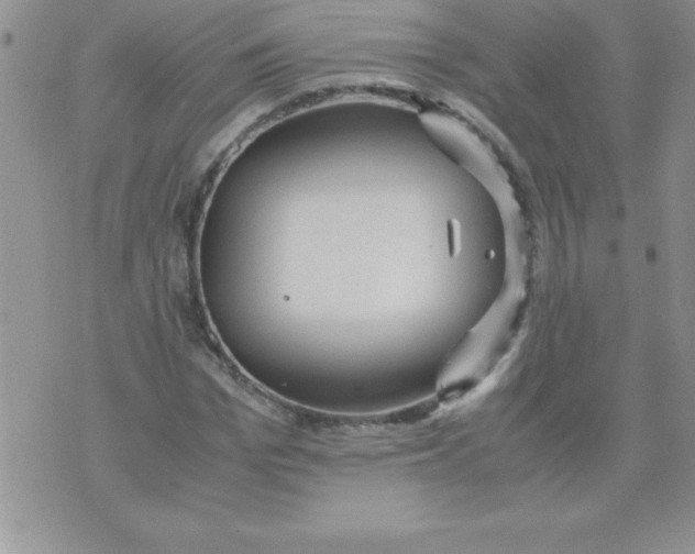 X0000071950969200607282004