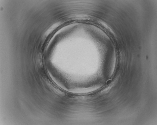 X0000071950970200607282004