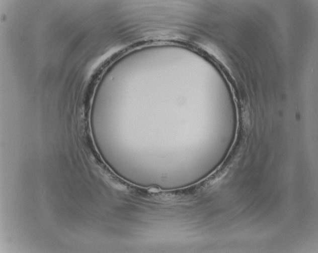 X0000071950971200607282004