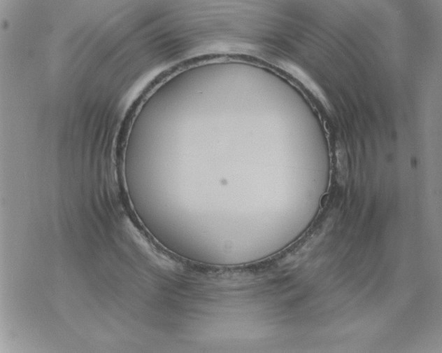 X0000071950972200607282004