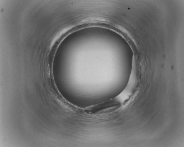 X0000071950973200607282004