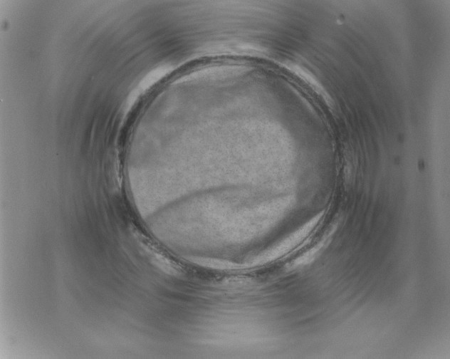 X0000071950974200607282004