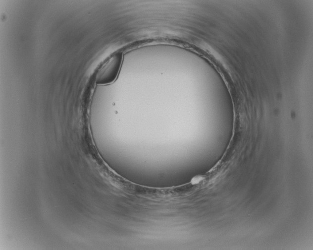 X0000071950975200607282004