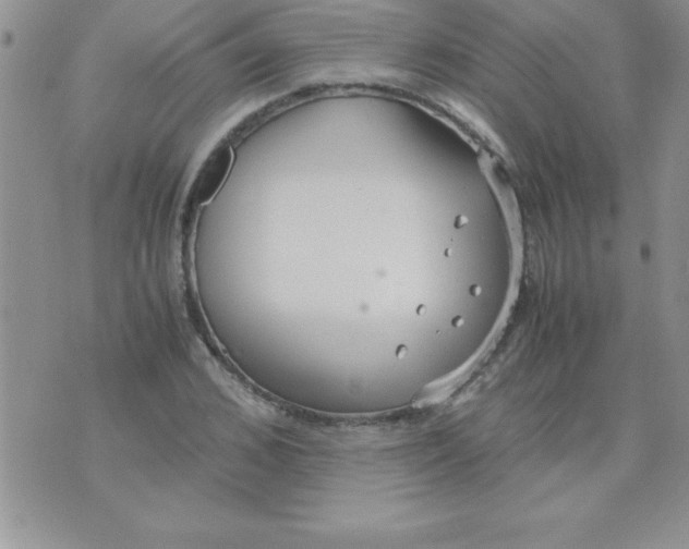 X0000071950976200607282004