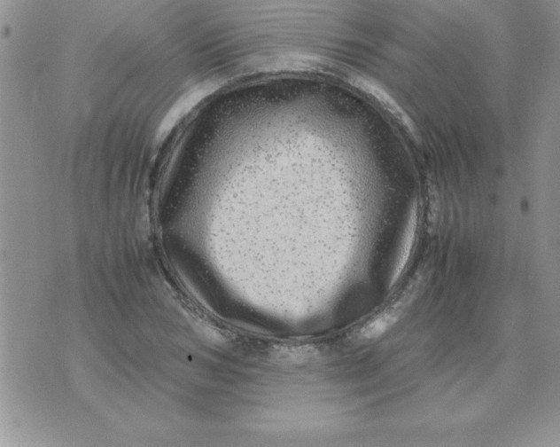 X0000071950978200607282004