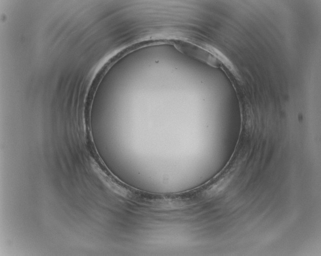 X0000071950980200607282004