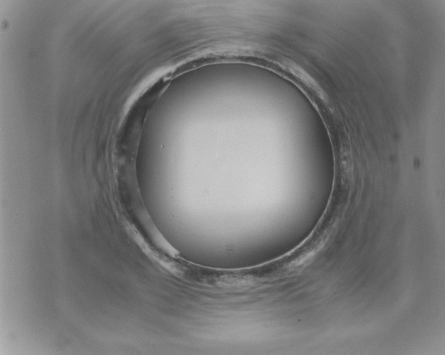 X0000071950981200607282004