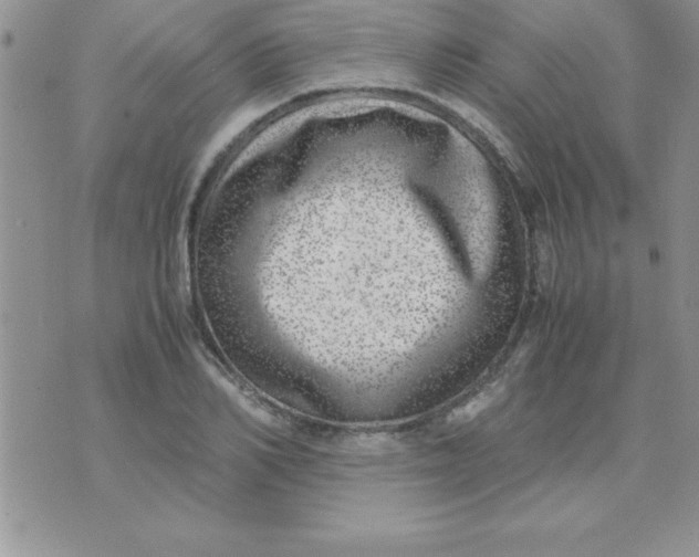 X0000071950982200607282004