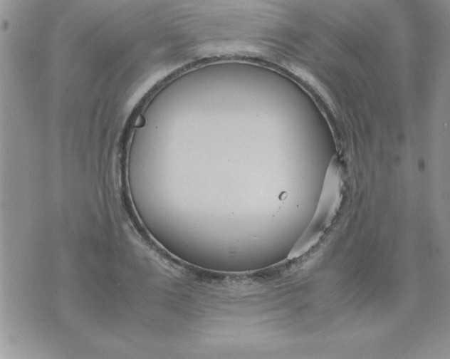 X0000071950983200607282004