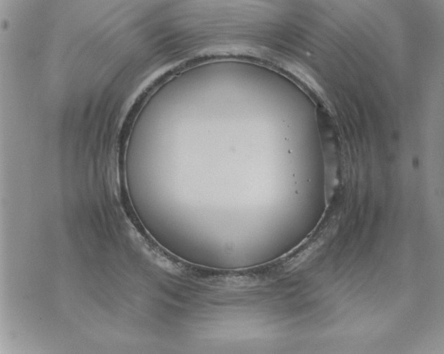 X0000071950984200607282004