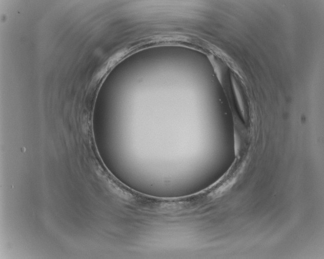 X0000071950985200607282004