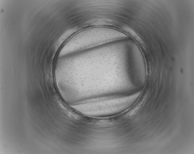 X0000071950986200607282004