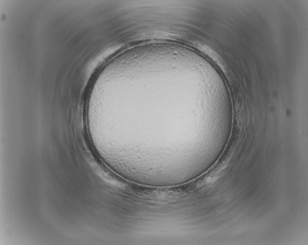 X0000071950987200607282004