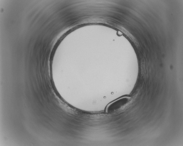 X0000071950988200607282004