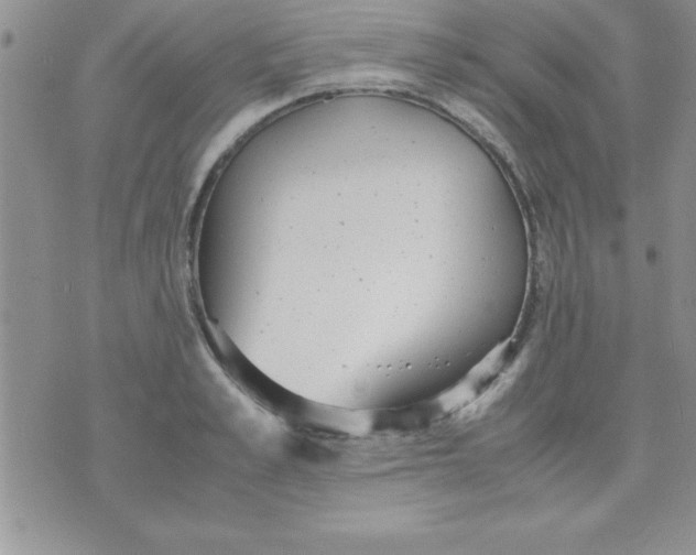 X0000071950989200607282004