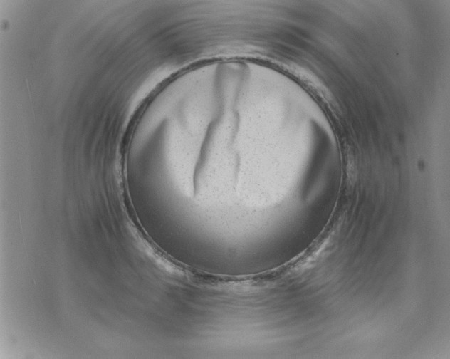 X0000071950990200607282004