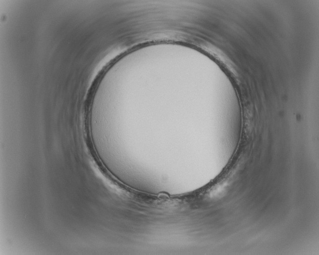 X0000071950991200607282004