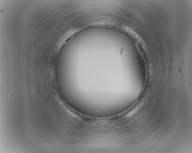 X0000071950993200607282004