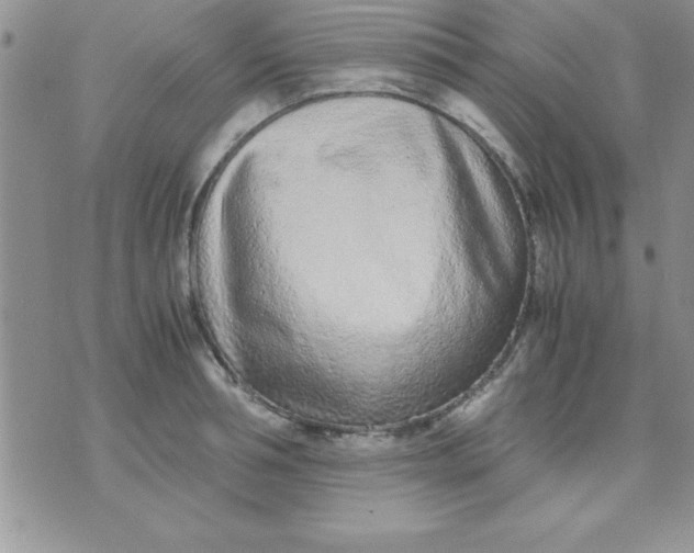 X0000071950994200607282004