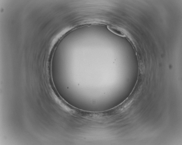 X0000071950995200607282004