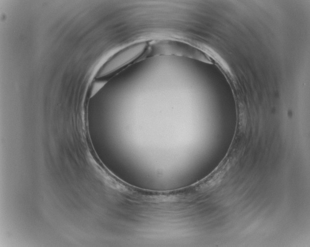 X0000071950996200607282004