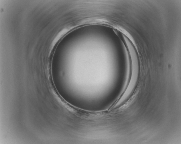 X0000071950997200607282004