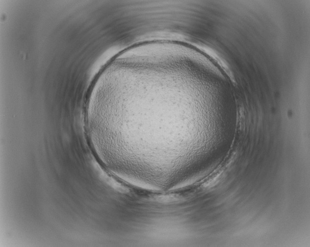 X0000071950998200607282004