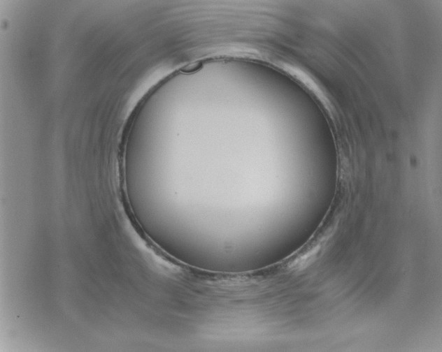 X0000071950999200607282004