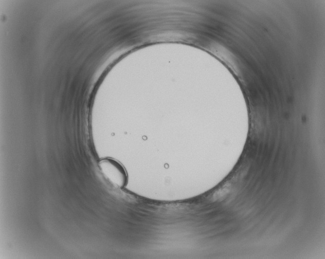 X0000071951000200607282004