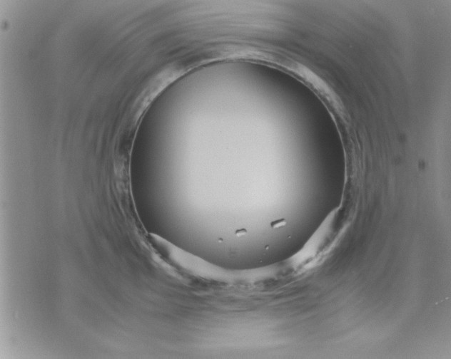 X0000071951001200607282004