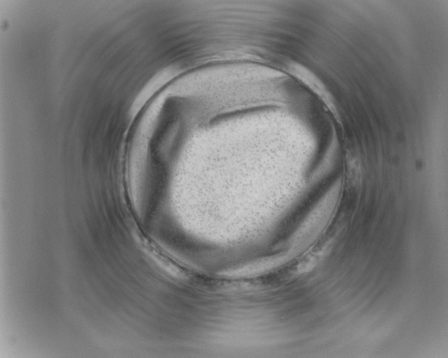 X0000071951002200607282003