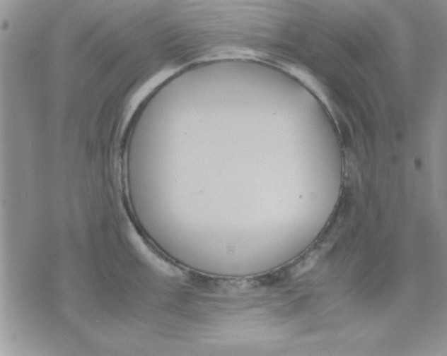 X0000071951003200607282003