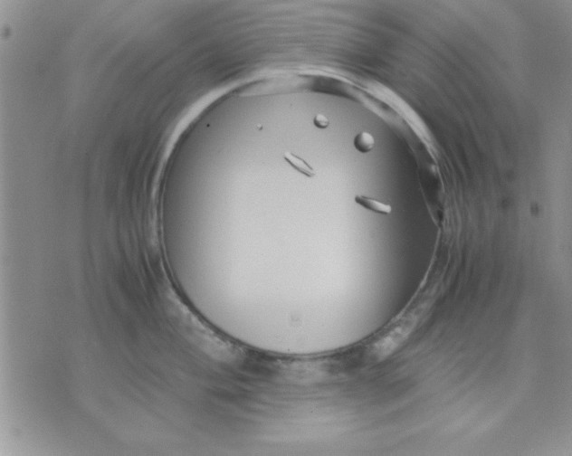 X0000071951004200607282003